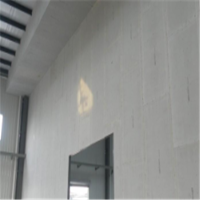 万州宁波ALC板|EPS加气板隔墙与混凝土整浇联接的实验研讨